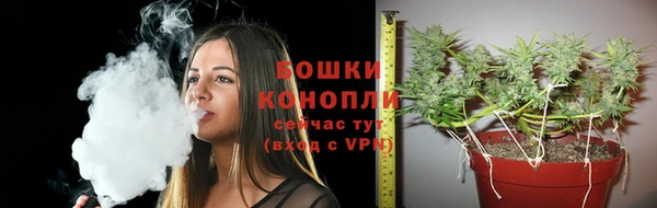 spice Медногорск