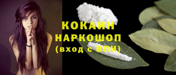 дмт Медвежьегорск