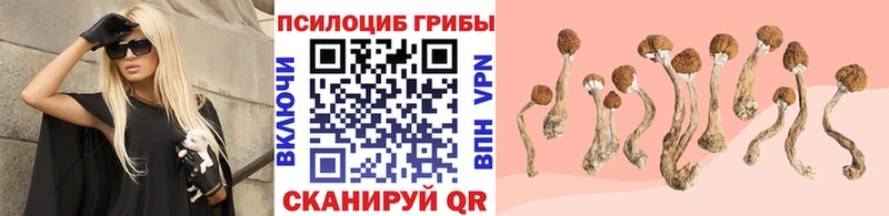 Галлюциногенные грибы Psilocybine cubensis  закладка  площадка наркотические препараты  Златоуст 